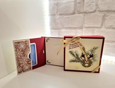 Geldgeschenk im Reagenzröhrchen zu Weihnachten mit Verpackung - Chili/ weihnachtliche Motive