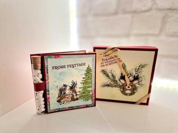 Geldgeschenk im Reagenzröhrchen zu Weihnachten mit Verpackung - Chili/ weihnachtliche Motive