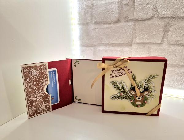 Geldgeschenk im Reagenzröhrchen zu Weihnachten mit Verpackung - Chili/ weihnachtliche Motive