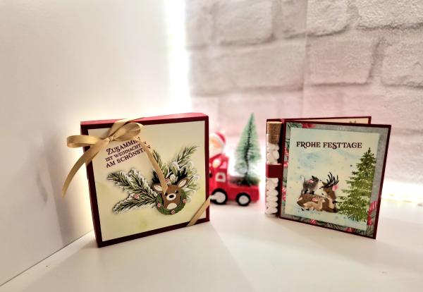 Geldgeschenk im Reagenzröhrchen zu Weihnachten mit Verpackung - Chili/ weihnachtliche Motive